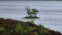 x  DSC06065  eilandje in Loch Clair