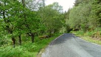 x  DSC06134  Kustweg langs Loch Sunart