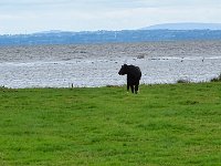 pl  DSC04643  Lough Neagh bij Banfoot.