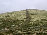 dag-18 20240821 10 Z50 1335  Ellen  op weg naar de top van Hjerkinnshöi, 1772hm