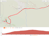 dag15c  Wandeling over Kvitsdalvegen