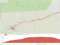 dag18a  ochtendwandeling ri Kvitsdalen