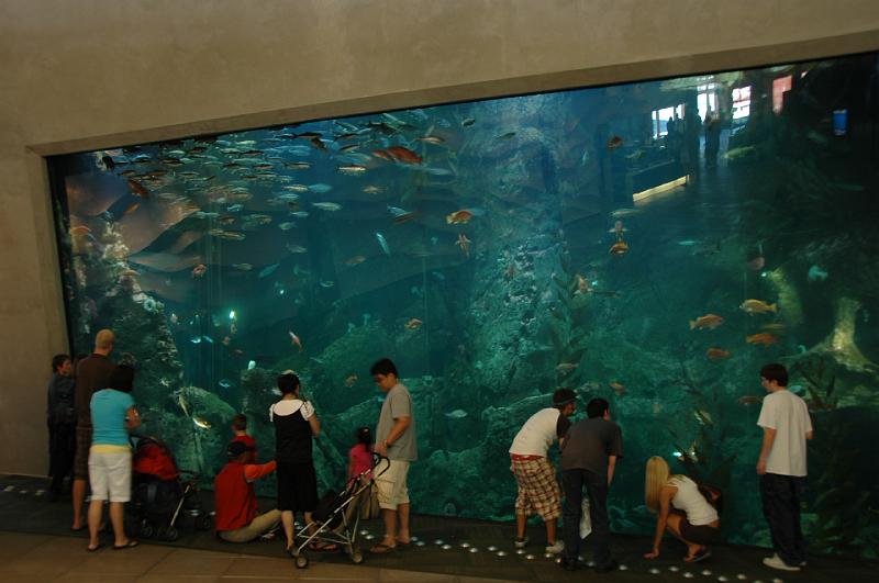 DSC_0051.JPG - Seattle Aquarium